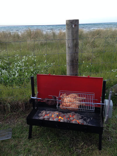 Mini Spit Roaster Charcoal BBQ