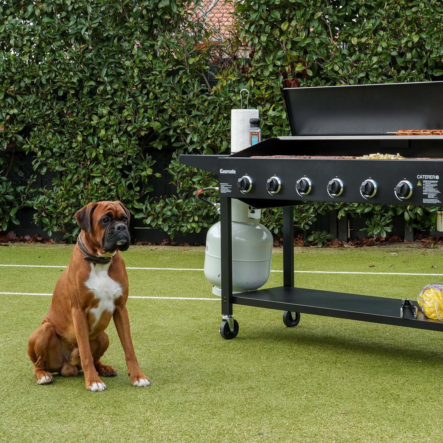 CATERER 6 BURNER BBQ