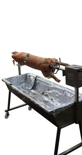 The Minion Stainless Steel Spit Rotisserie