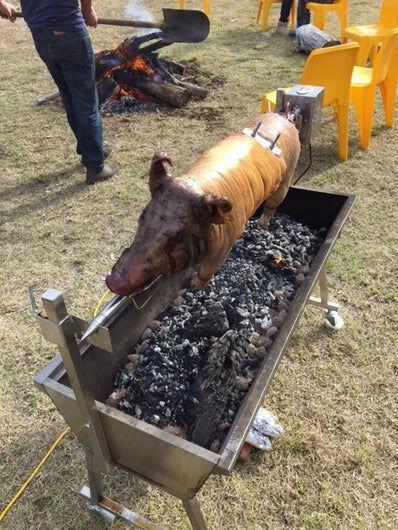 The Minion Stainless Steel Spit Rotisserie