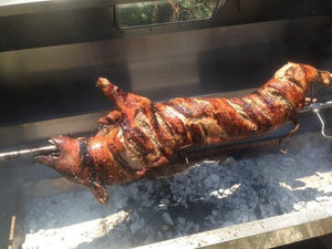 1500 Stainless Steel Hooded Spartan Spit Roaster - Stoves & Cooktops - Flaming Coals - Hunter Valley Heating